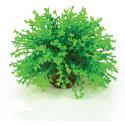 BiOrb bloemenbal groen aquarium decoratie