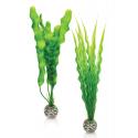 BiOrb planten medium groen aquarium decoratie