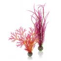 BiOrb planten medium rood & roze aquarium decoratie