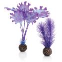 BiOrb zeewier set klein paars aquarium decoratie