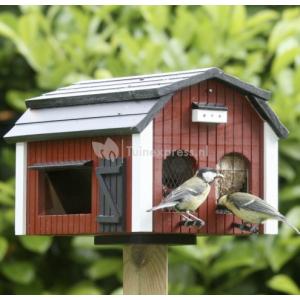 Hoe maak je een vogelvriendelijke tuin?