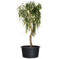 JP planten container H 31 x Ø 40.5 cm - 30 liter