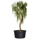 JP planten container H 36 x Ø 53.5 cm - 50 liter