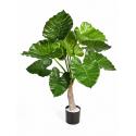 Kunstplant Alocasia calidora S