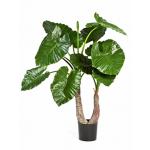 Kunstplant Alocasia calidora M