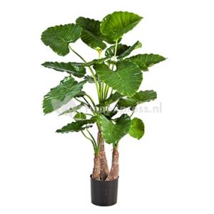 Kunstplant Alocasia calidora L