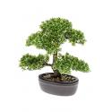 Kunstplant Bonsai ficus mini M