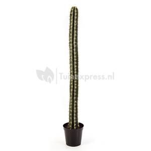 Kunstplant Cactus straight L