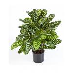 Kunstplant Calathea green L