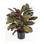 Kunstplant Calathea red L