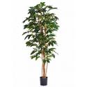 Kunstplant Coffea arabica M