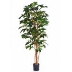 Kunstplant Coffea arabica XL