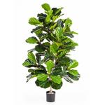 Kunstplant Ficus lyrata L