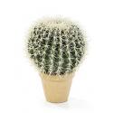 Kunstplant Golden barrel cactus XL