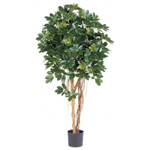 Kunstplant Schefflera arboricola M