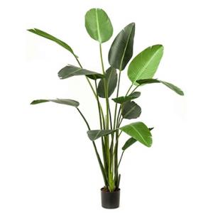 Kunstplant Strelitzia L