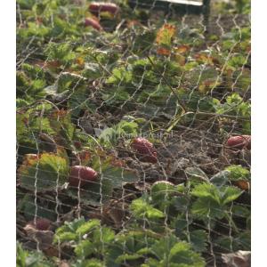 Tuinnet grofmazig 10 x 3 meter