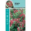 Weigela struik Red Prince