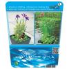 Mix waterplanten op drijvend planteneiland (2 stuks)