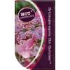 Hydrangea Aspera "Hot Chocolate"® fluweelhortensia