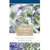 Hydrangea Macrophylla "Magical Revolution Blue"® boerenhortensia