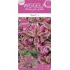 Weigela Florida struik Monet