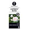 Bodembedekkende trosroos (rosa "Aspirin Rose"®)