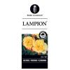 Trosroos (rosa "Lampion"®)