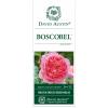 Engelse klimroos (rosa "Boscobel"®)