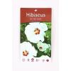 Hibiscus syriacus Red Heart