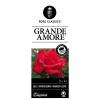 Grootbloemige roos (rosa "Grande Amore"®)