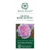 Engelse roos (rosa "Olivia Rose Austin"®)