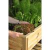 Royal Well kweektafel Planter-on-wheels 100 x 70 x 94 cm