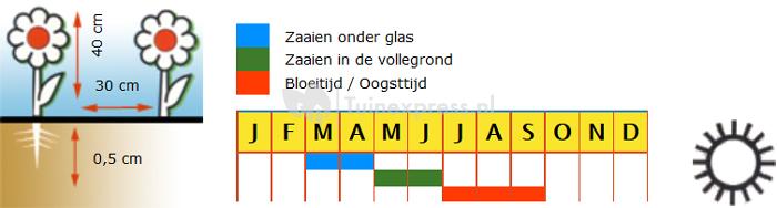 Bladamarant driekleurig bloemzaden - Garden Select