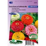 Eenjarige Zinnia bloemzaden – Zinnia Giants of California Mix