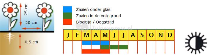 Grootbloemige slanke sleutelbloem bloemzaden – Primula colossea mix