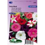 Lage petunia bloemzaden – Choice mixed