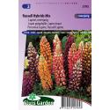 Lupine bloemzaden – Russell Hybrids Mix