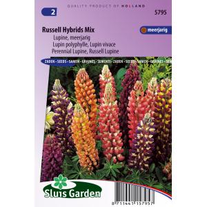 Lupine bloemzaden – Russell Hybrids Mix