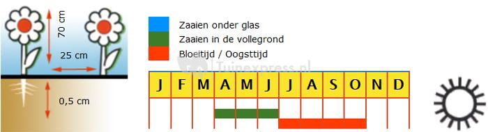 Special mix bloemzaden – Snijbloemenmengsel