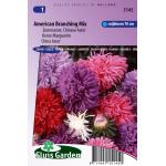 Zomeraster Chinese Aster bloemzaden - Branching Mix