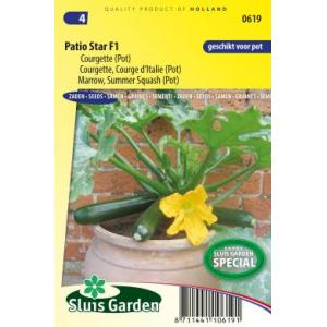 Courgette (pot) zaden - Patio Star F1