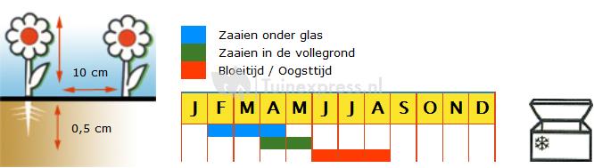 Herfstprei biologische zaden - Hannibal